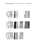 SOLUTION PROCESSIBLE HARDMASKS FOR HIGH RESOLUTION LITHOGRAPHY diagram and image