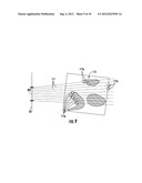 CALIBRATED NATURAL SIZE VIEWS FOR VISUALIZATIONS OF VOLUMETRIC DATA SETS diagram and image