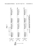 Image Forming Apparatus diagram and image