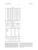 ZOOM LENS AND IMAGE PICKUP APPARATUS HAVING THE SAME diagram and image