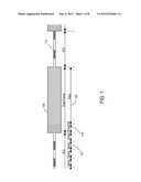 Digital Equalization Process and Mechanism diagram and image