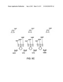 Directional Electroacoustical Transducing diagram and image