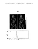 COMPOUNDS WITH REDUCED RING SIZE FOR USE IN DIAGNOSING AND TREATING     MELANOMA, INCLUDING METASTATIC MELANOMA AND METHODS RELATED TO SAME diagram and image