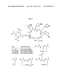 COMPOUNDS WITH REDUCED RING SIZE FOR USE IN DIAGNOSING AND TREATING     MELANOMA, INCLUDING METASTATIC MELANOMA AND METHODS RELATED TO SAME diagram and image