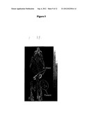 COMPOUNDS WITH REDUCED RING SIZE FOR USE IN DIAGNOSING AND TREATING     MELANOMA, INCLUDING METASTATIC MELANOMA AND METHODS RELATED TO SAME diagram and image