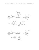 UNSATURATED CHOLINE ANALOGS AND CHEMICAL SYNTHESIS THEREOF diagram and image