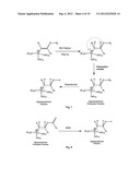 UNSATURATED CHOLINE ANALOGS AND CHEMICAL SYNTHESIS THEREOF diagram and image