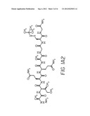 Dimeric Alpha Interferon PEGylated Site-Specifically Shows Enhanced and     Prolonged Efficacy in Vivo diagram and image