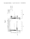 Dimeric Alpha Interferon PEGylated Site-Specifically Shows Enhanced and     Prolonged Efficacy in Vivo diagram and image