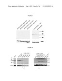 AGENTS USEFUL IN TREATING FACIOSCAPULOHUMERAL MUSCULAR DYSTROPHY diagram and image