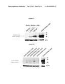 AGENTS USEFUL IN TREATING FACIOSCAPULOHUMERAL MUSCULAR DYSTROPHY diagram and image