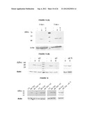 AGENTS USEFUL IN TREATING FACIOSCAPULOHUMERAL MUSCULAR DYSTROPHY diagram and image