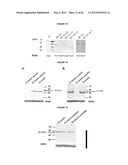 AGENTS USEFUL IN TREATING FACIOSCAPULOHUMERAL MUSCULAR DYSTROPHY diagram and image