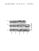 Isolation and Use of Melanoma Cancer Stem Cells diagram and image