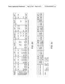 Isolation and Use of Melanoma Cancer Stem Cells diagram and image