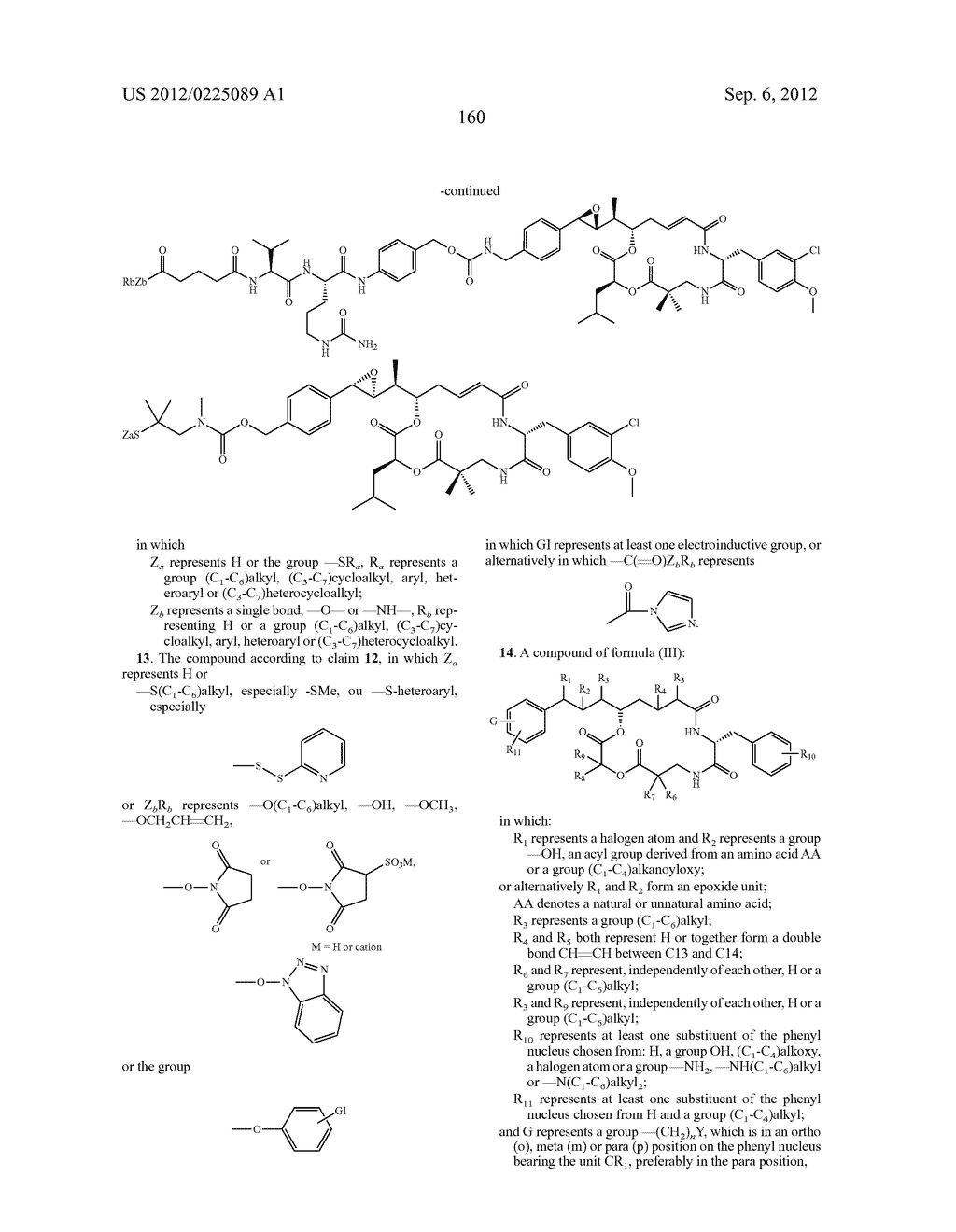 NOVEL CONJUGATES, PREPARATION THEREOF, AND THERAPEUTIC USE THEREOF - diagram, schematic, and image 161