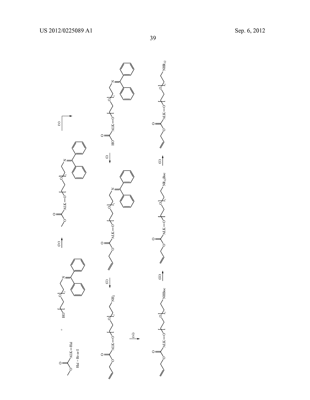 NOVEL CONJUGATES, PREPARATION THEREOF, AND THERAPEUTIC USE THEREOF - diagram, schematic, and image 40