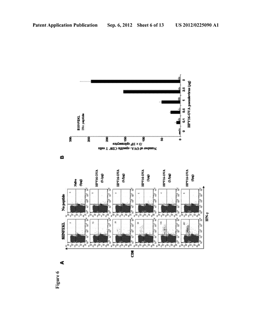 METHODS FOR ENHANCING ANTIGEN-SPECIFIC IMMUNE RESPONSES - diagram, schematic, and image 07