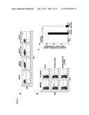 METHODS FOR ENHANCING ANTIGEN-SPECIFIC IMMUNE RESPONSES diagram and image