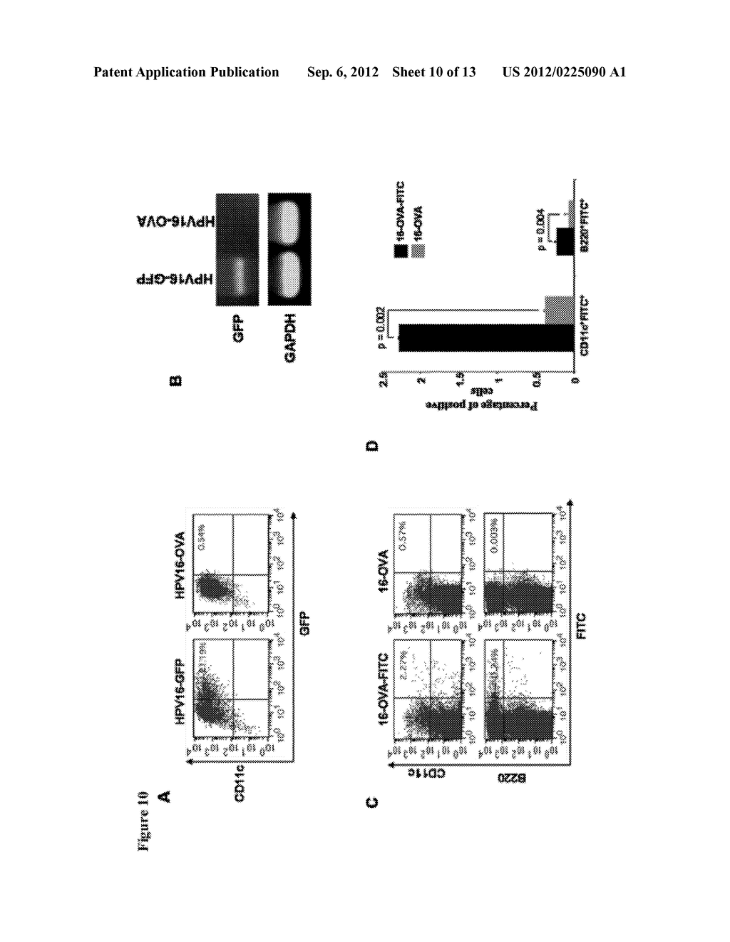 METHODS FOR ENHANCING ANTIGEN-SPECIFIC IMMUNE RESPONSES - diagram, schematic, and image 11