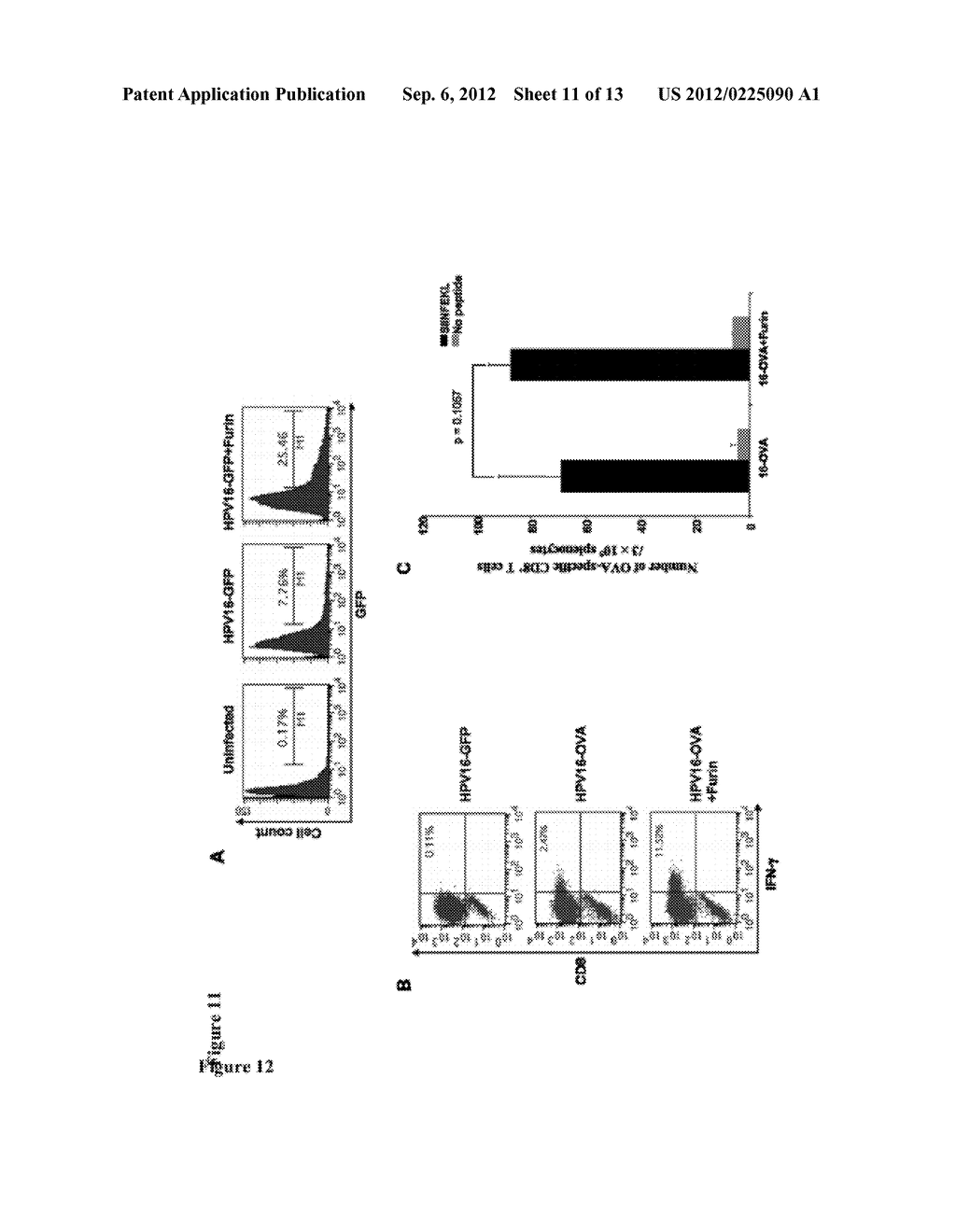 METHODS FOR ENHANCING ANTIGEN-SPECIFIC IMMUNE RESPONSES - diagram, schematic, and image 12