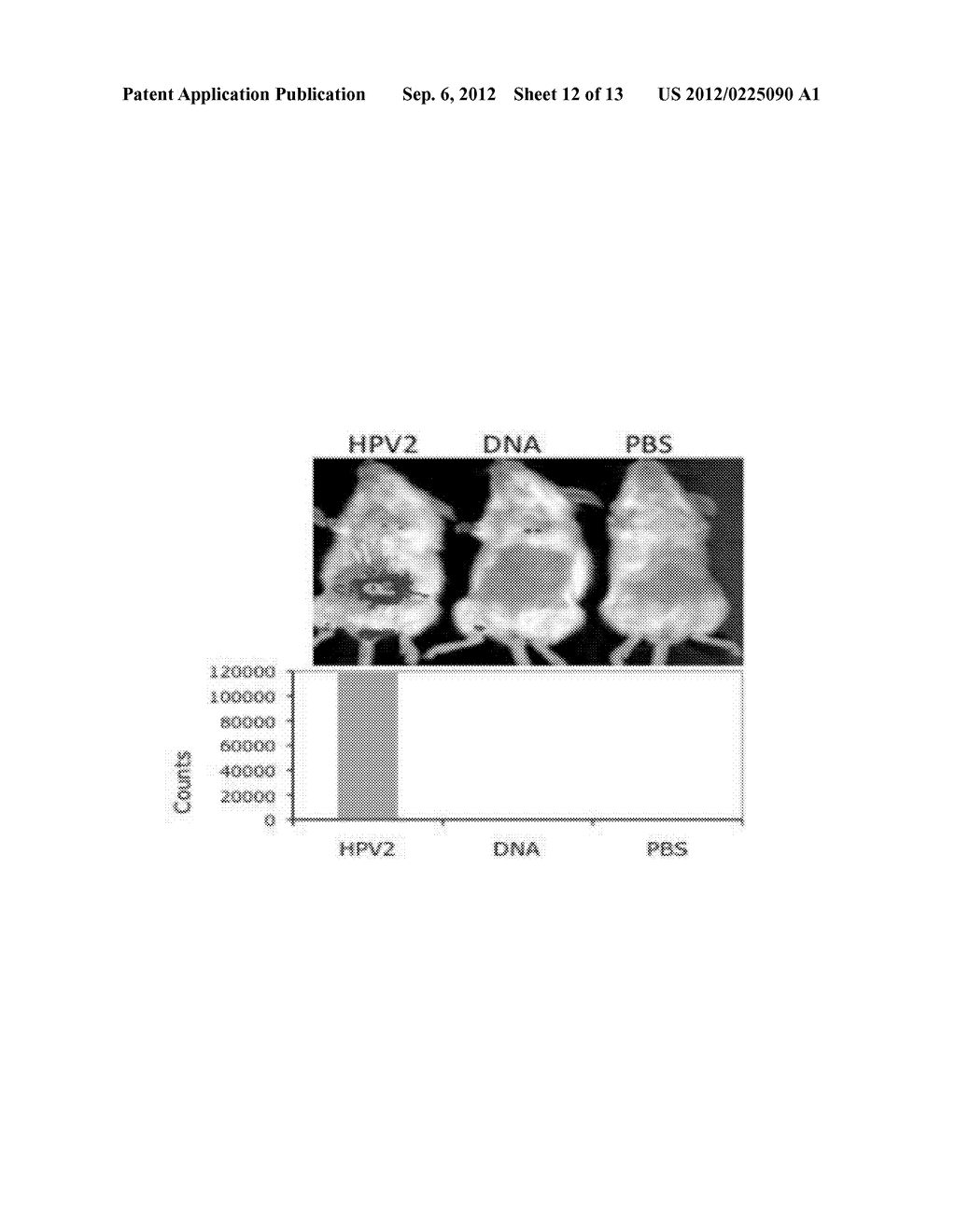 METHODS FOR ENHANCING ANTIGEN-SPECIFIC IMMUNE RESPONSES - diagram, schematic, and image 13