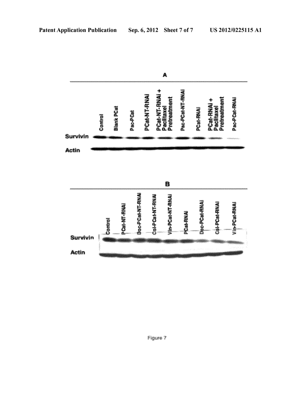 Methods and Compositions for Improved Deliver, Expression or Activity of     RNA Interference Agents - diagram, schematic, and image 08