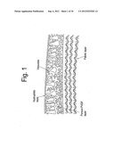 METHOD OF PRODUCING A POROUS MEMBRANE AND WATERPROOF, HIGHLY BREATHABLE     FABRIC INCLUDING THE MEMBRANE diagram and image