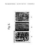 METHOD OF PRODUCING A POROUS MEMBRANE AND WATERPROOF, HIGHLY BREATHABLE     FABRIC INCLUDING THE MEMBRANE diagram and image