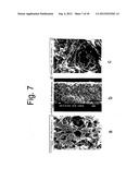 METHOD OF PRODUCING A POROUS MEMBRANE AND WATERPROOF, HIGHLY BREATHABLE     FABRIC INCLUDING THE MEMBRANE diagram and image