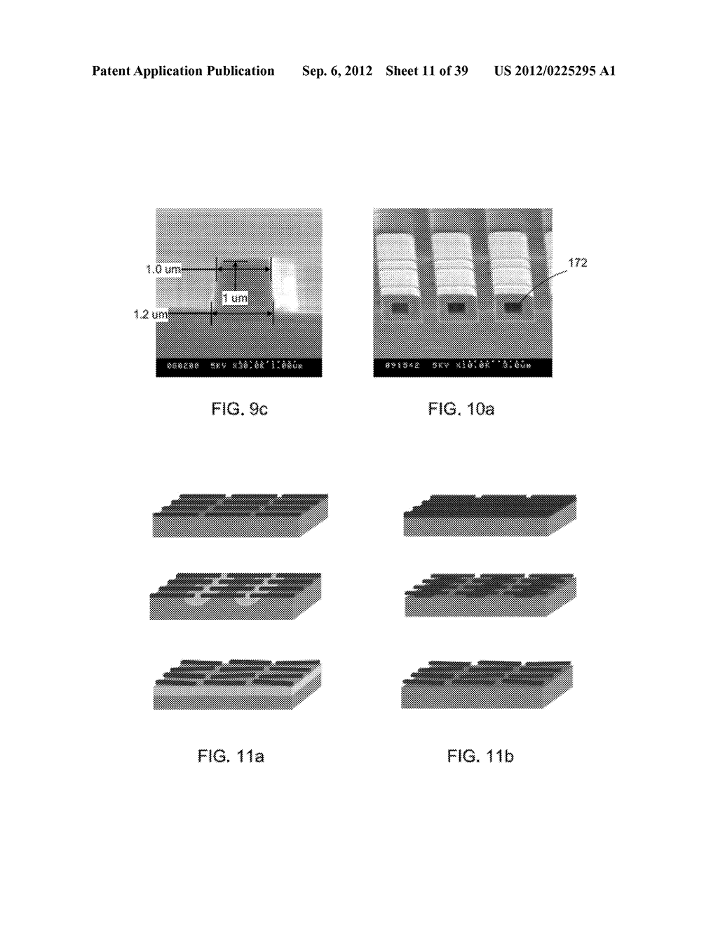 MINIATURIZED MICROPARTICLES - diagram, schematic, and image 12