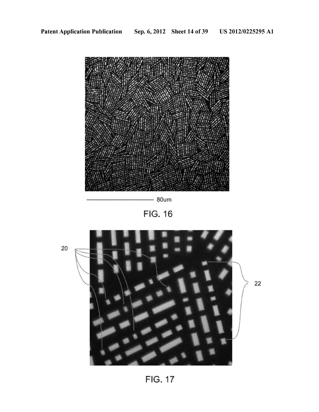 MINIATURIZED MICROPARTICLES - diagram, schematic, and image 15