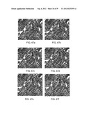 MINIATURIZED MICROPARTICLES diagram and image