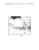 IN-SITU NANOPARTICLE FORMATION IN POLYMER CLEAR COATS diagram and image