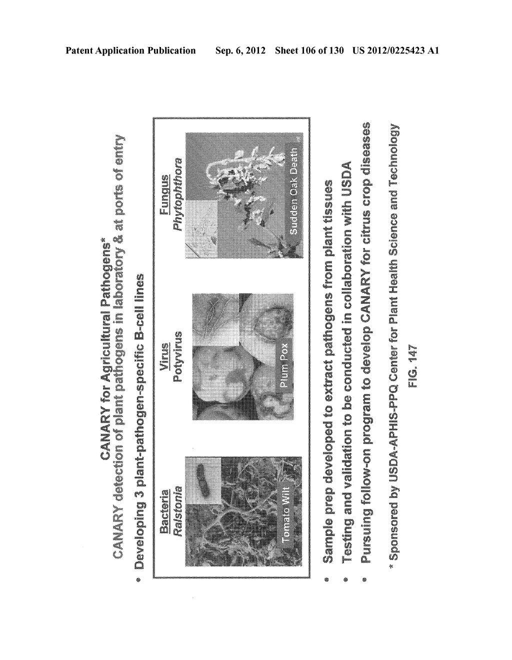 PATHOGEN DETECTION BIOSENSOR - diagram, schematic, and image 107