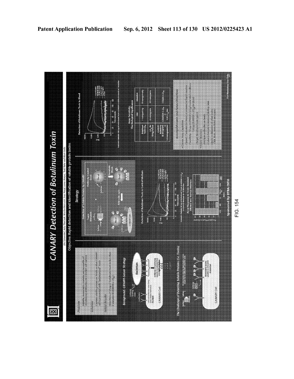 PATHOGEN DETECTION BIOSENSOR - diagram, schematic, and image 114