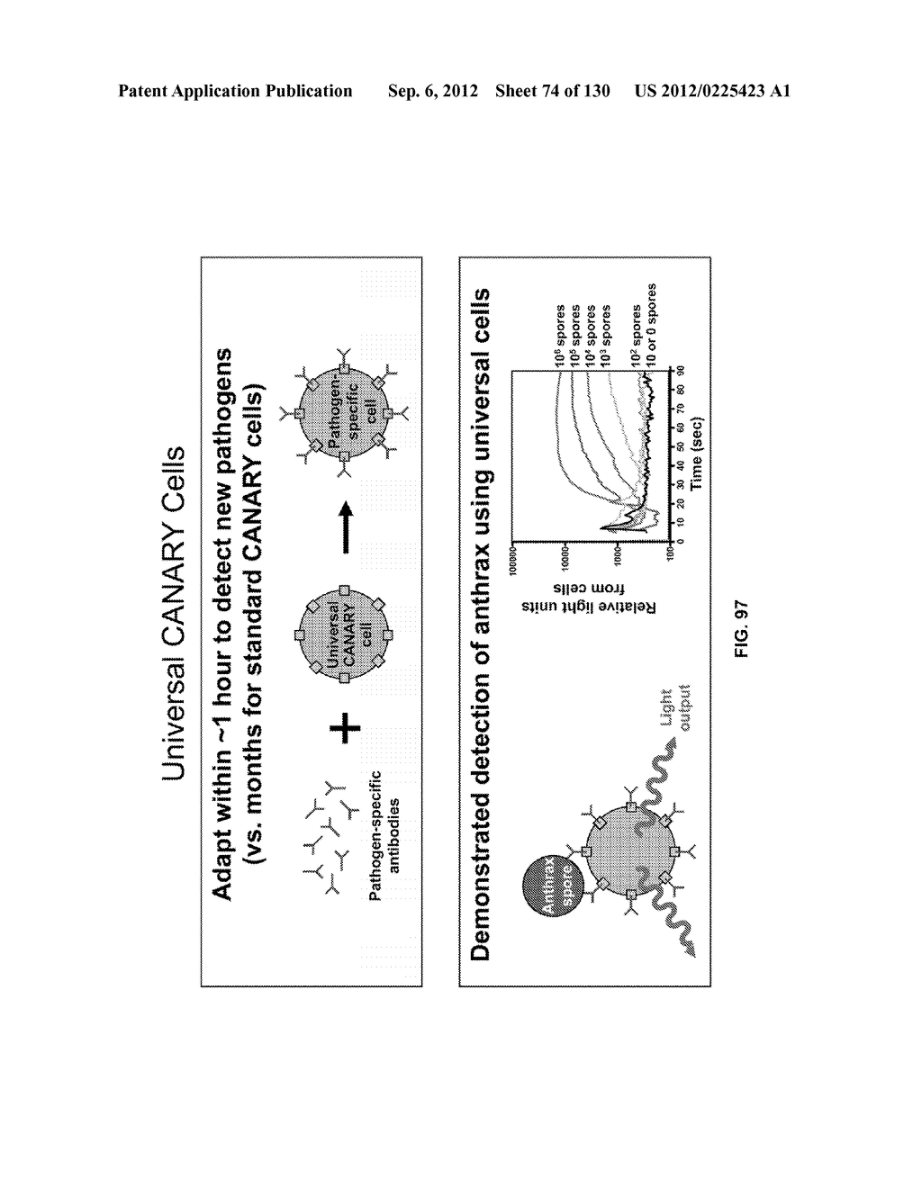 PATHOGEN DETECTION BIOSENSOR - diagram, schematic, and image 75