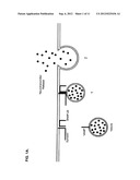 Immuno-Based Botulinum Toxin Serotype A Activity Assays diagram and image