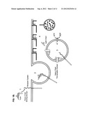 Immuno-Based Botulinum Toxin Serotype A Activity Assays diagram and image