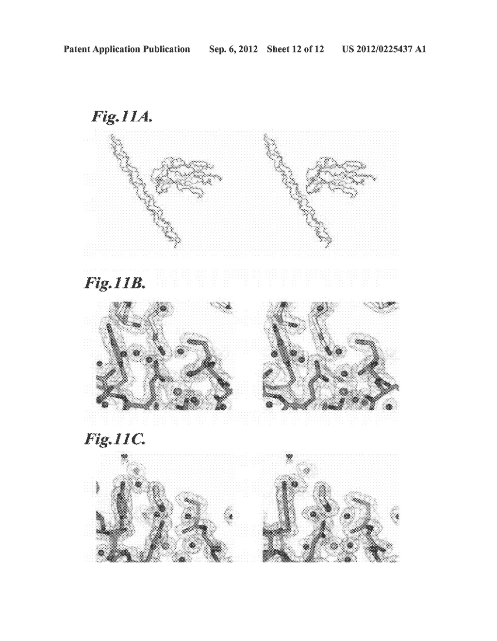 METHODS FOR IDENTIFYING INHIBITORS OF MANNAN-BINDING LECTIN ASSOCIATED     SERINE PROTEASE (MASP) PROTEINS AND USES THEREOF - diagram, schematic, and image 13