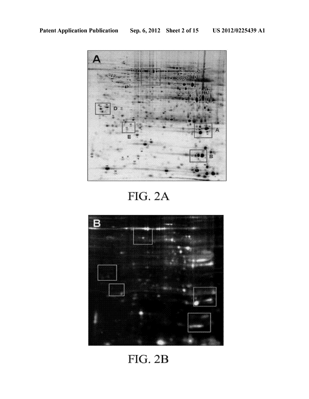 PROTEIN MARKERS FOR DETECTING LIVER CANCER AND METHOD FOR IDENTIFYING THE     MARKERS THEREOF - diagram, schematic, and image 03