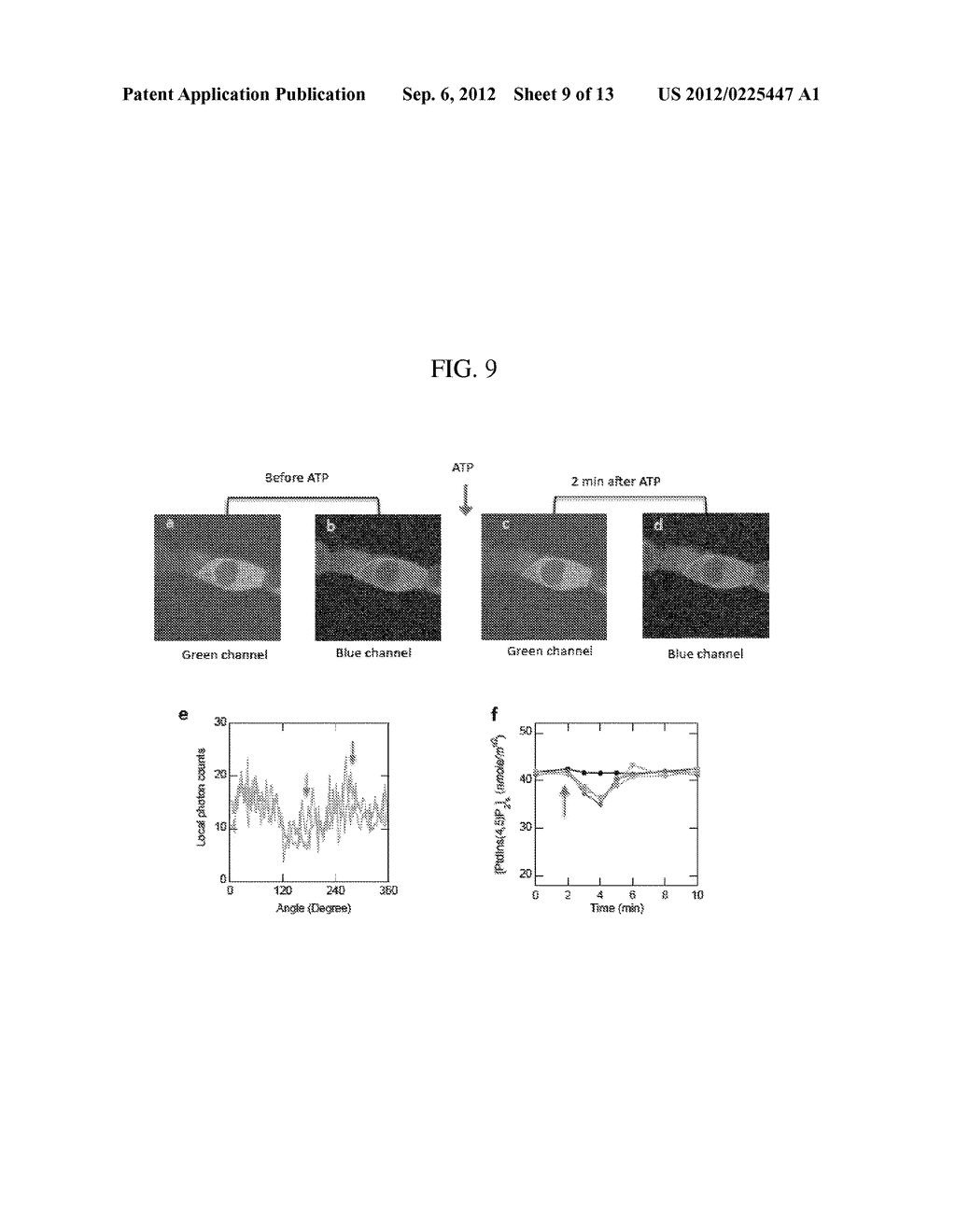 COMPOSITIONS AND METHODS FOR QUANTITATIVELY MONITORING LIPIDS - diagram, schematic, and image 10