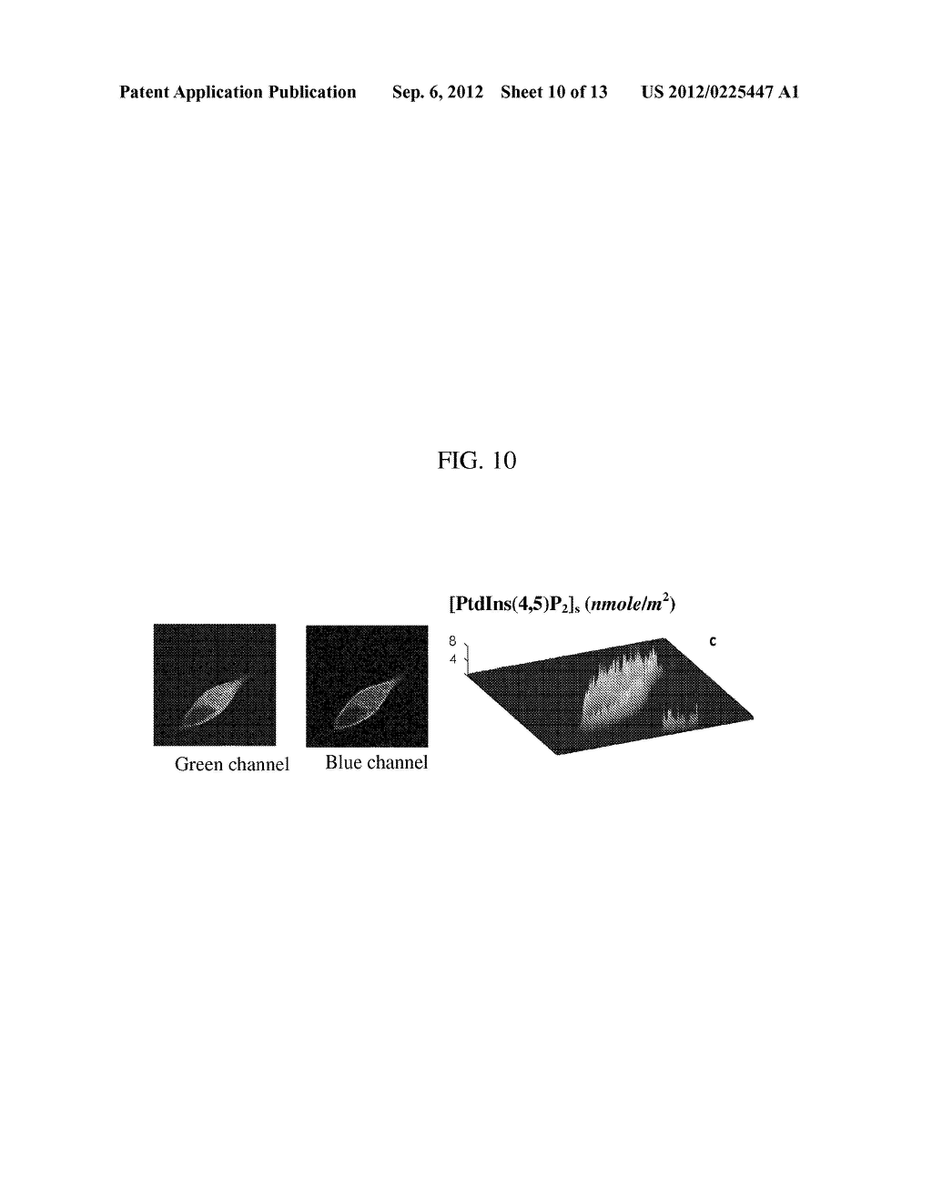 COMPOSITIONS AND METHODS FOR QUANTITATIVELY MONITORING LIPIDS - diagram, schematic, and image 11
