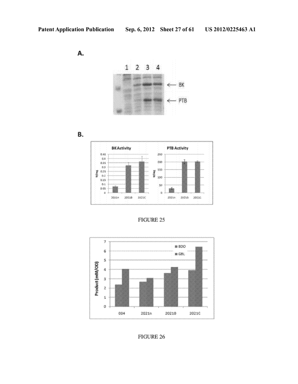 MICROORGANISMS FOR THE PRODUCTION OF 1,4-BUTANEDIOL AND RELATED METHODS - diagram, schematic, and image 28