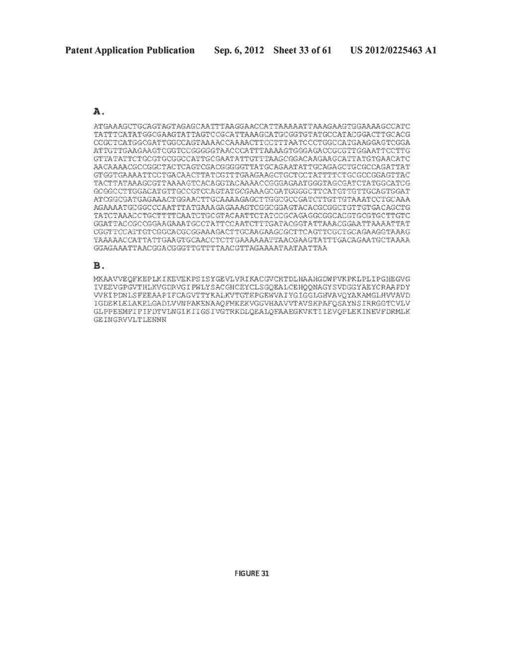 MICROORGANISMS FOR THE PRODUCTION OF 1,4-BUTANEDIOL AND RELATED METHODS - diagram, schematic, and image 34