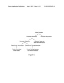 METHODS OF PROPAGATING MONKEY ADENOVIRAL VECTORS diagram and image