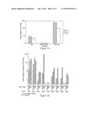 METHODS OF PROPAGATING MONKEY ADENOVIRAL VECTORS diagram and image