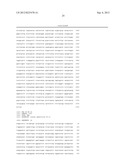 METHODS OF PROPAGATING MONKEY ADENOVIRAL VECTORS diagram and image