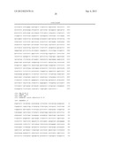 METHODS OF PROPAGATING MONKEY ADENOVIRAL VECTORS diagram and image