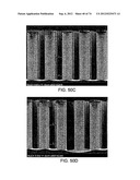 Devices And Method For Enrichment And Alteration Of Cells And Other     Particles diagram and image